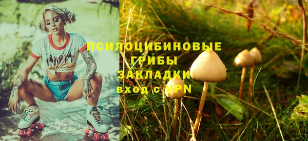 дмт Верея