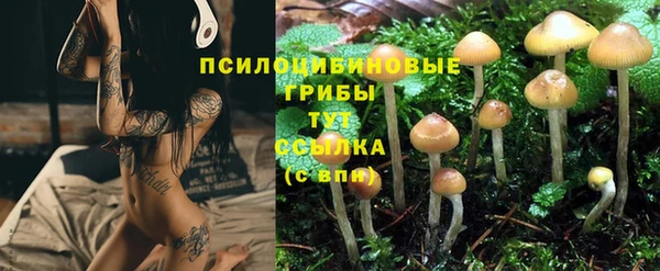 прущий лед Бородино