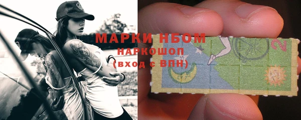 прущий лед Бородино